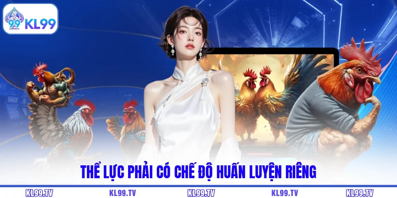 Thể lực phải có chế độ huấn luyện riêng