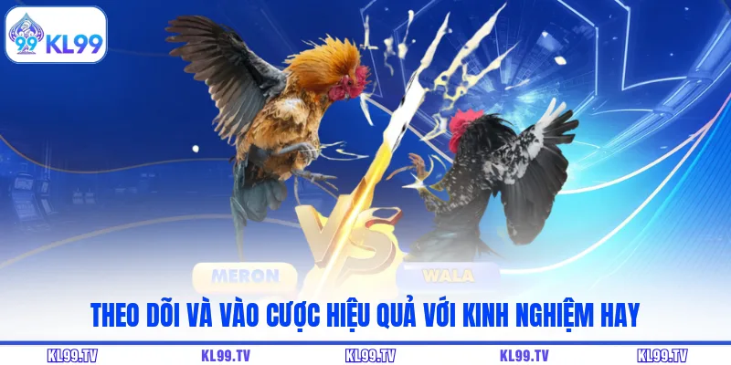 Theo dõi và vào cược hiệu quả với kinh nghiệm hay